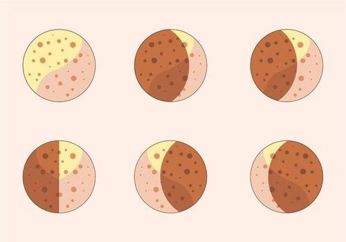 Moon Phase Vector