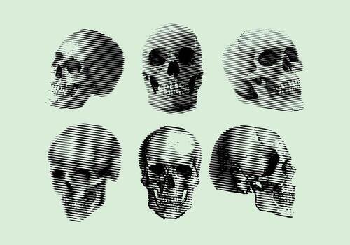 Gravure Skull Vector