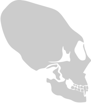 Skull alien vector